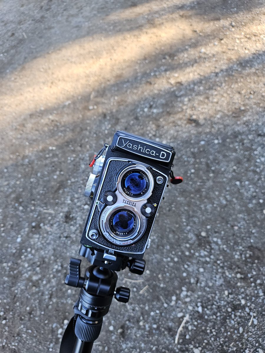 PositiveOffset's tweet photo. New camera who dis?
Bought a Yashica D to get into medium format, and I love it!
Camera: Yashica D
Location: Mission Peak

#photography #120mm #film #mediumformat #6x6 #landscapephotography #landscape #filmphotography https://t.co/ByDocU02vt