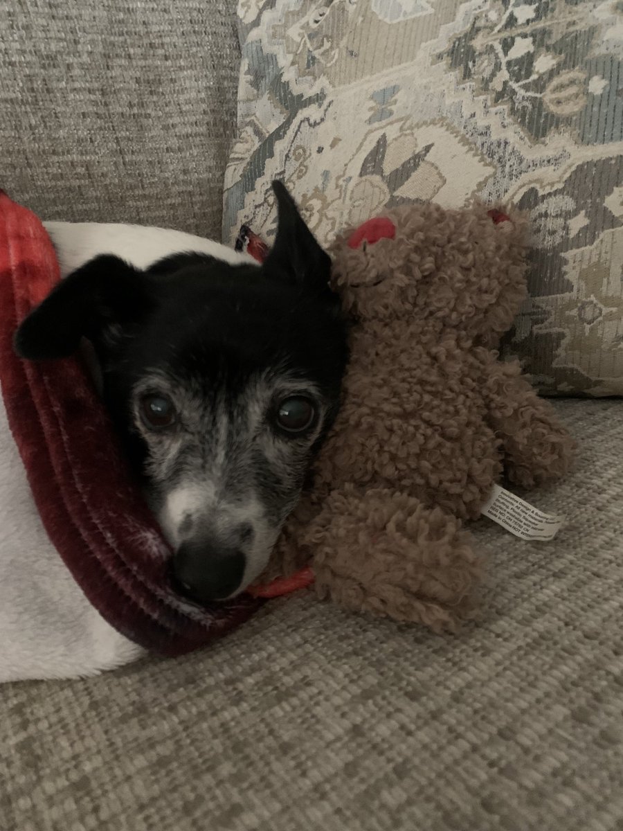 Just another boy and his teddy ❤️