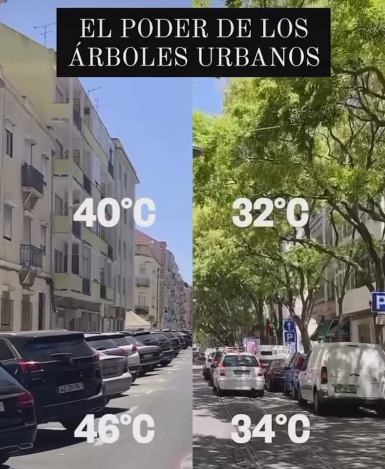 _Planeta_azul's tweet photo. 🧐 https://t.co/OPkNkpBZJk