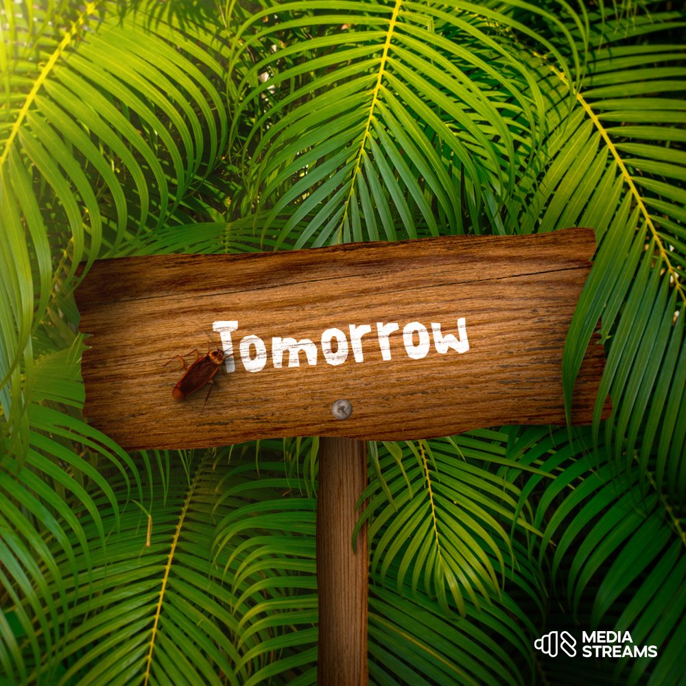 MediaStreams tweet media