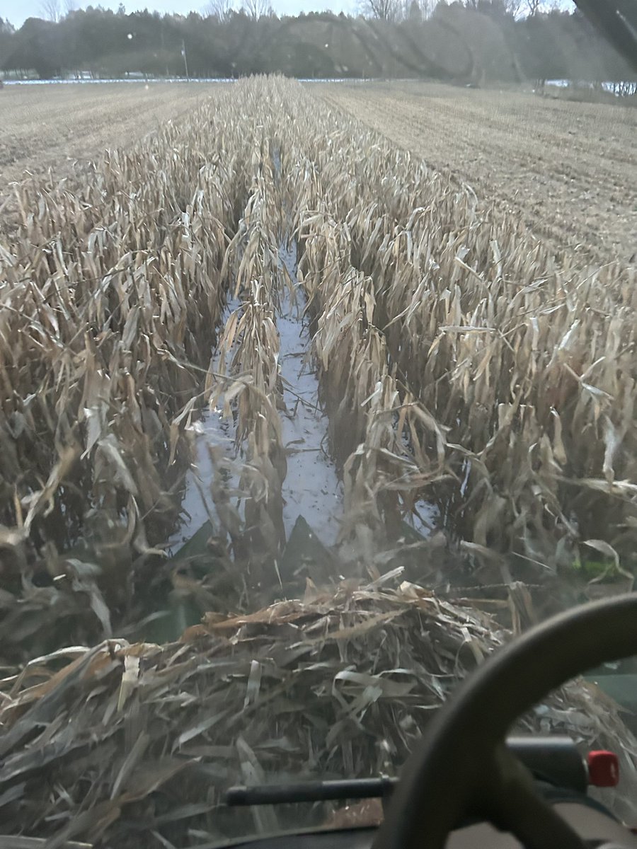 Found the last eight rows for 2023