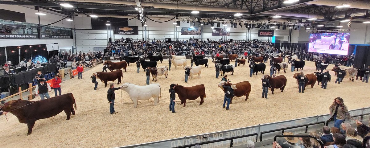 Candace By tweet media