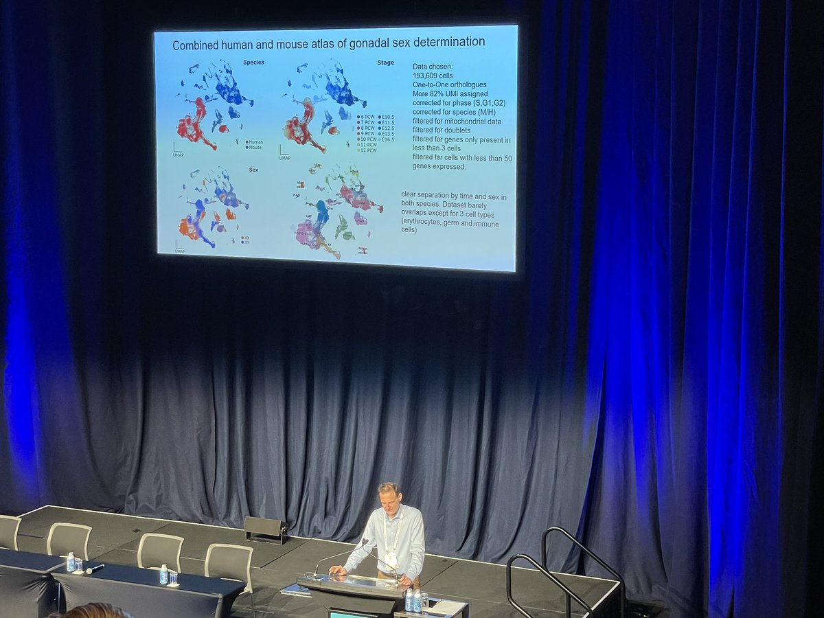 …and more impressive single cell atlas images comparing mouse and human cells involved in gonadal sex determination by Prof Serge Nef. <a href="/ReproductionSRB/">SRB</a>