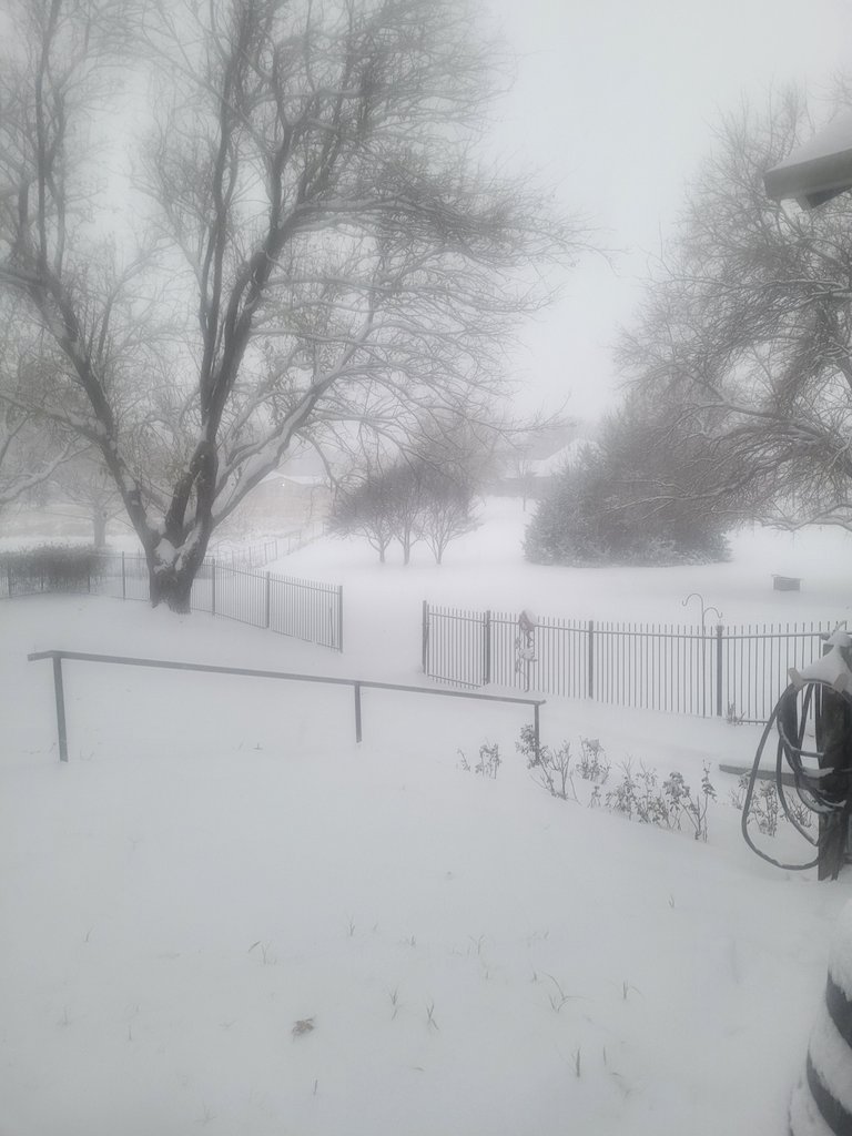 CoachChurch_WTD's tweet photo. Glad to have a Beautiful Kansas day like this!!!! #KansasSnow https://t.co/fpjAUnyEOg
