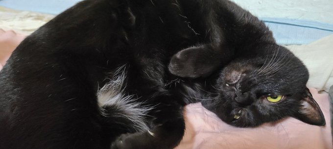 おはようございます、今日はいちだんと寒いですね 