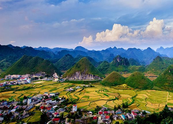 Huy Nguyễn tweet media