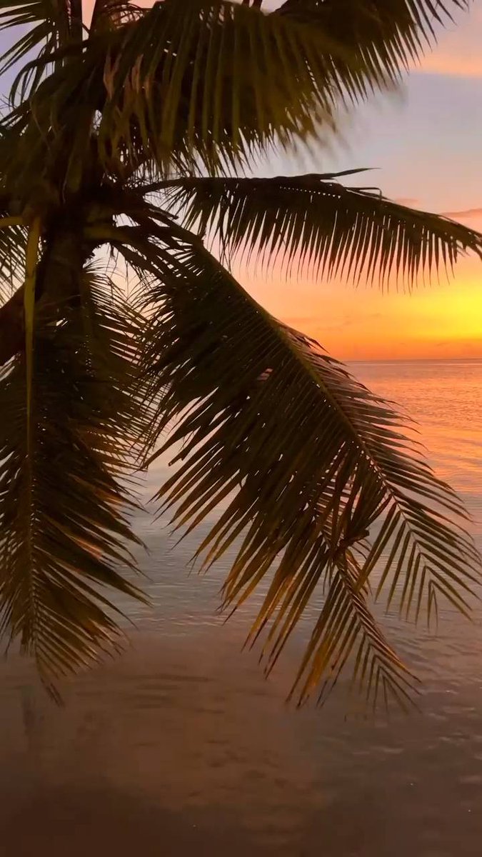 The garden is full of spring scenery, with a few red flowers falling all over the ground