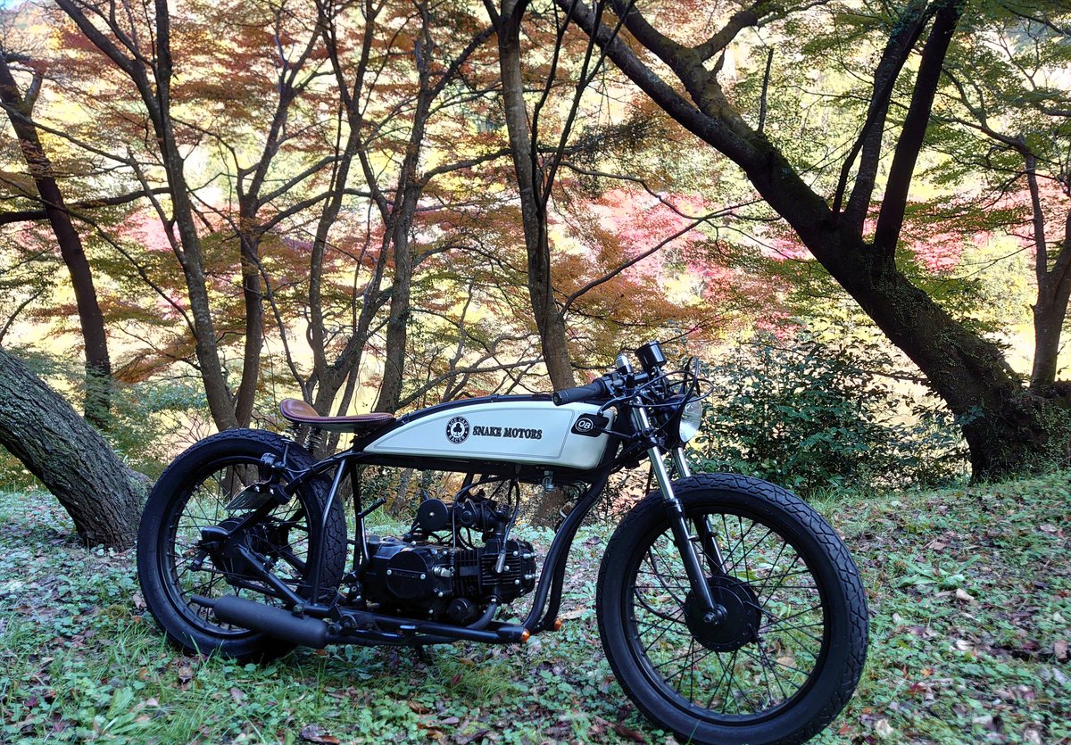 ぼんぼんちゃん (@oyKtARFSGwAAuZq) / Posts / X