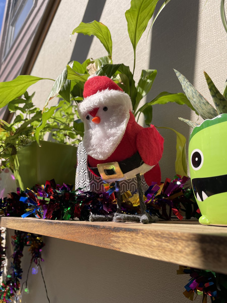 CucumberError's tweet image. This is a Christmas tweet.