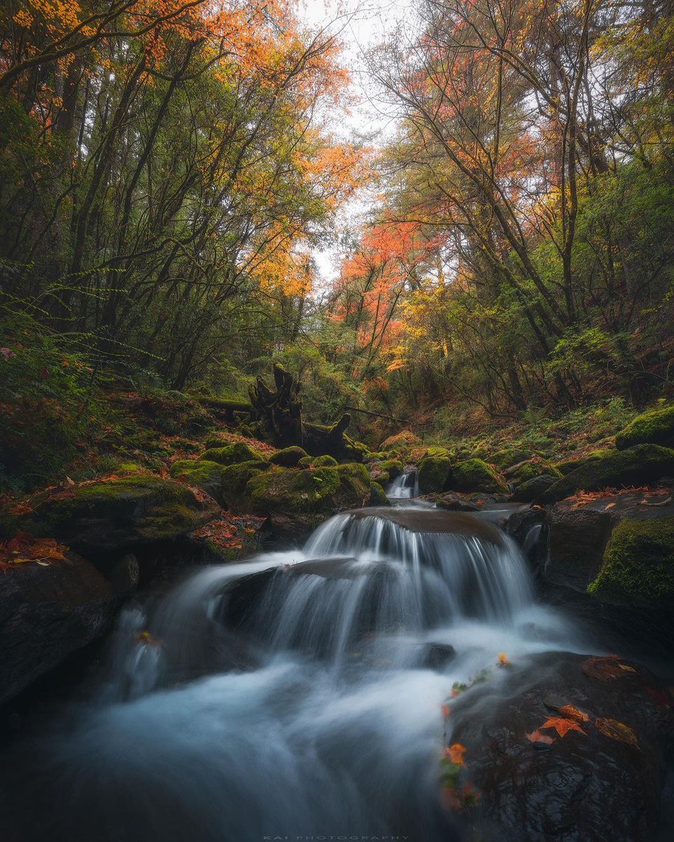 Go your own way and see your own scenery