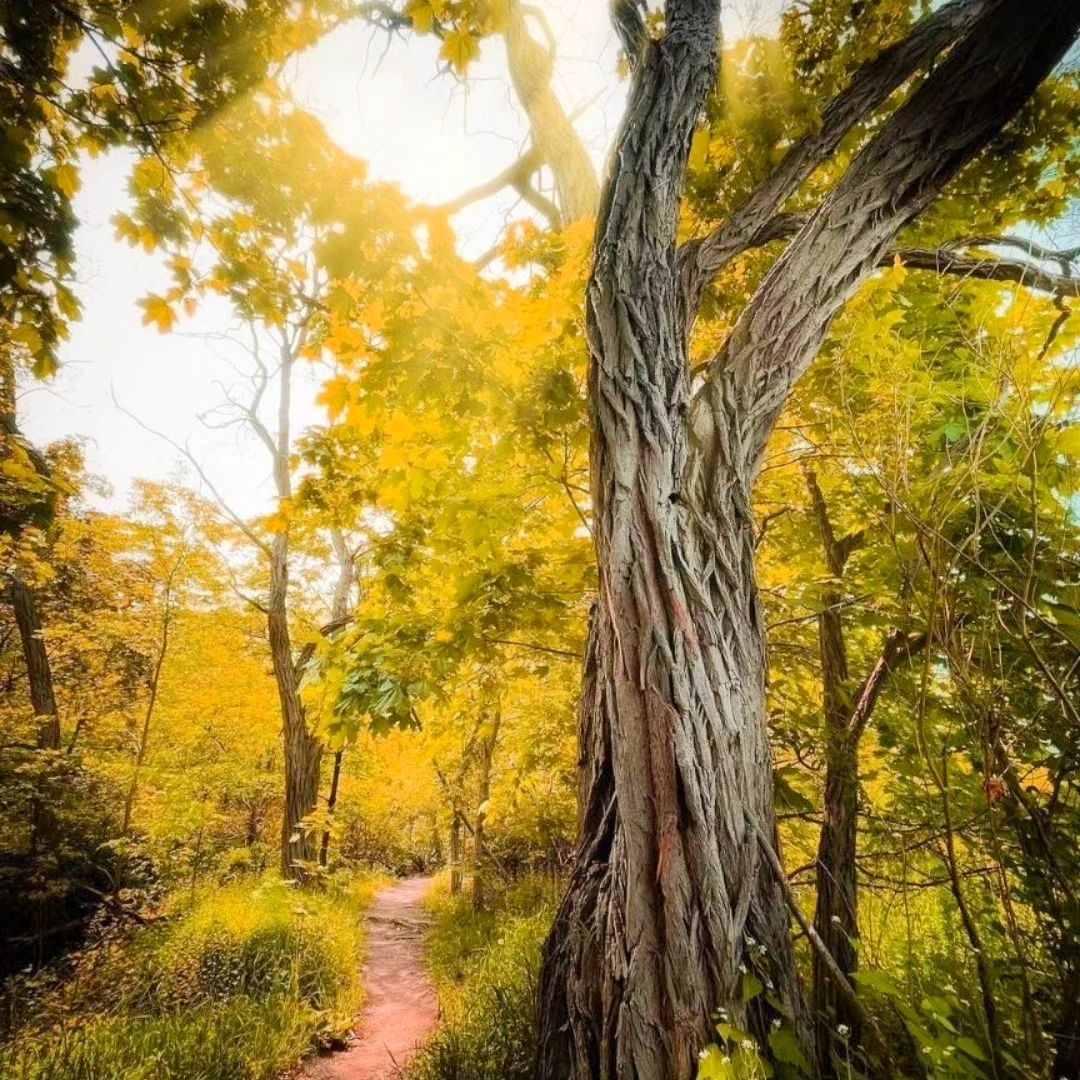 I wish to go through mountains and rivers and still feel that this world is worth it.