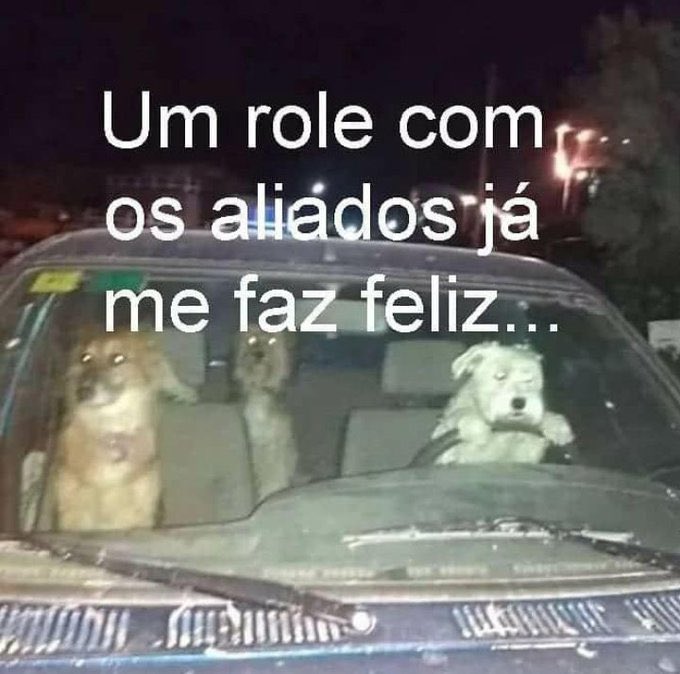 vsfdodeioisso's tweet photo. @xGabi_Gatinha https://t.co/cM71O344rM