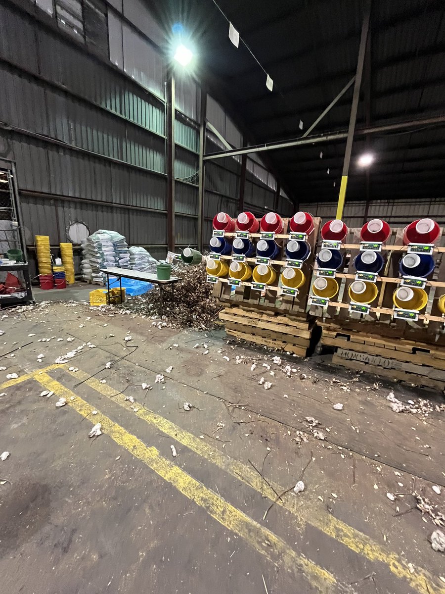 Cotton box mapping is over. It is the most we have ever done at learning center. The pile of plants over 8ft tall. Great data to follow !! <a href="/BurfordHarrison/">Harrison Burford</a> <a href="/Bugman70/">Jay Mahaffey</a> <a href="/ideasgotogrow/">Bayer Crop Science, Scott LC</a>