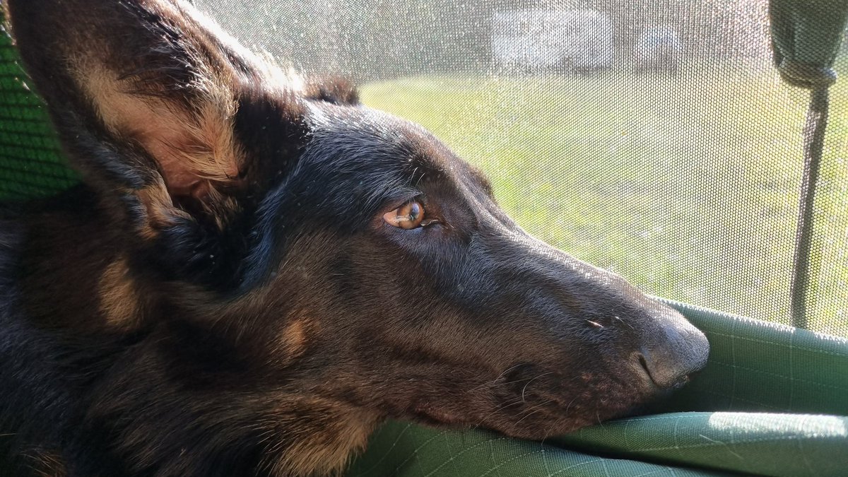 I'm out camping for my Birthday y'all!