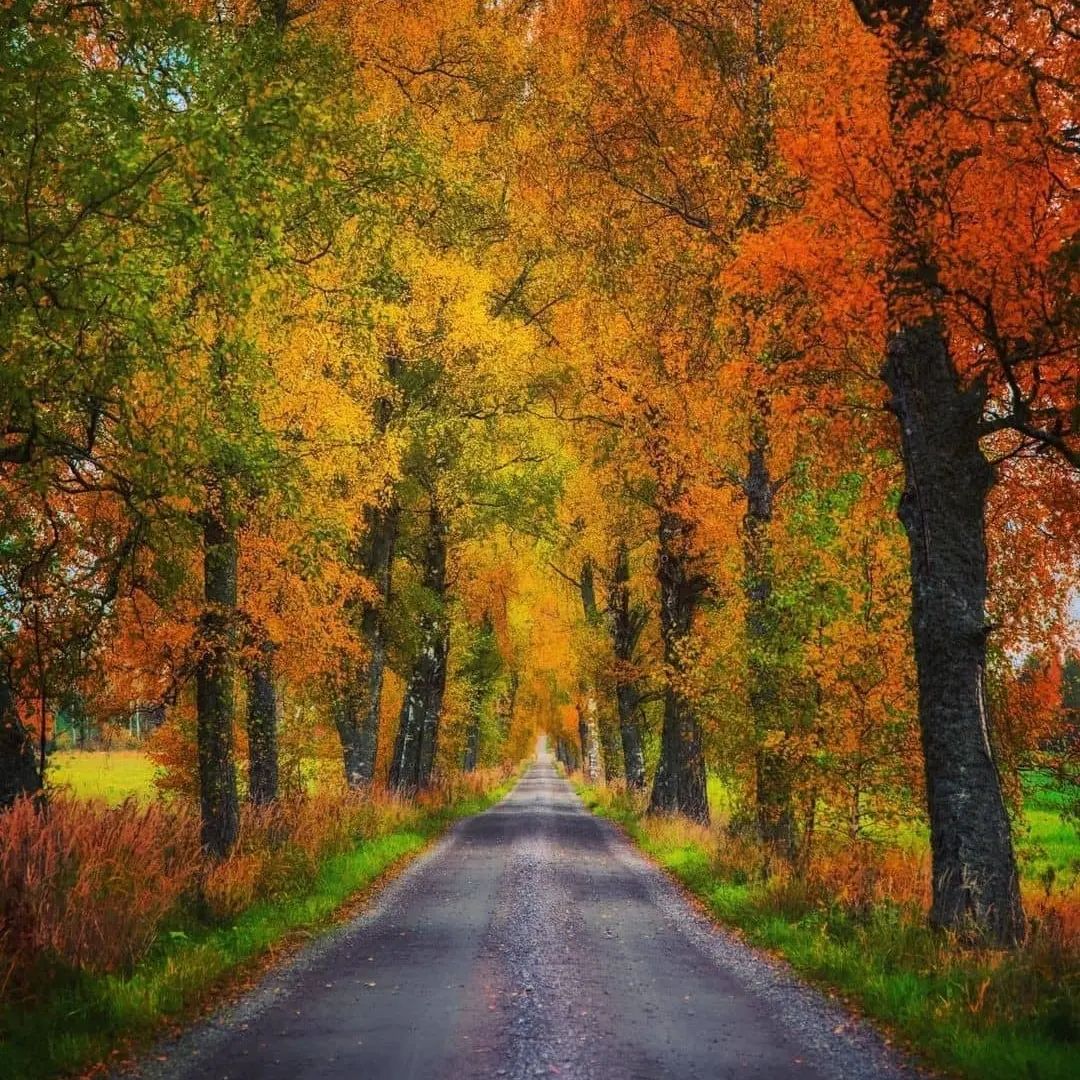 In this life, every journey is a scenery, and every thought can be calm.