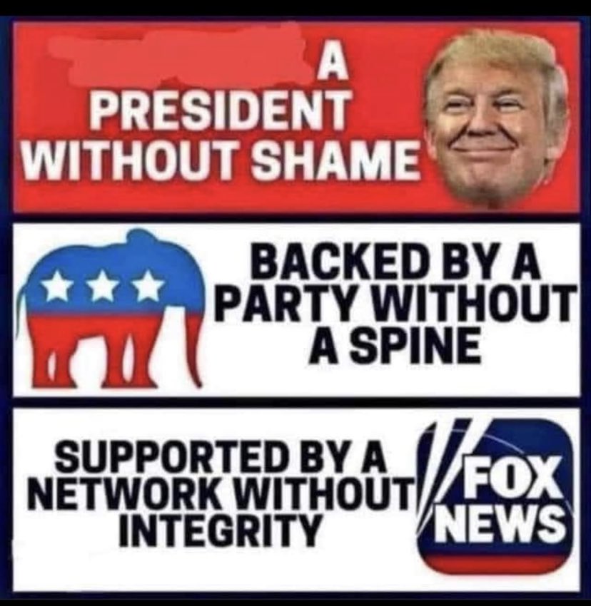 Whynotnot tweet media