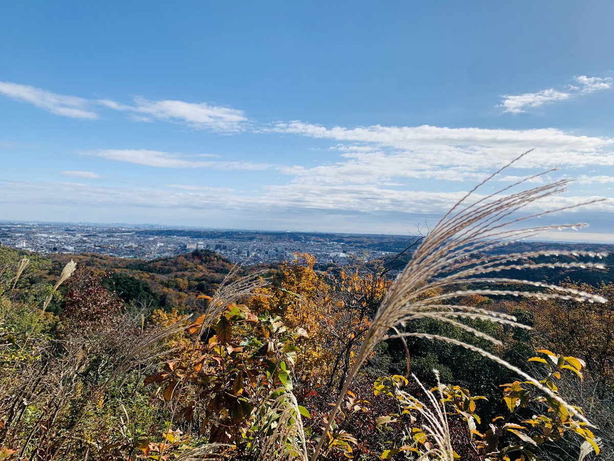 ym6154's tweet photo. 自宅から程近い里山ハイク
天覧山〜多峯主山縦走
2歳半、登りは一回も抱っこせず
197と271メートル登り切った！
下山は疲れ果て抱っこ寝💤
いや、でも初登山で頑張ったぞ！ https://t.co/SiWuiRngMj