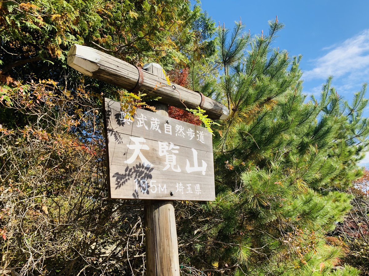 ym6154's tweet photo. 自宅から程近い里山ハイク
天覧山〜多峯主山縦走
2歳半、登りは一回も抱っこせず
197と271メートル登り切った！
下山は疲れ果て抱っこ寝💤
いや、でも初登山で頑張ったぞ！ https://t.co/SiWuiRngMj