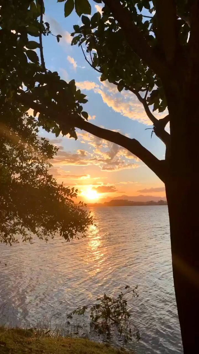 Your journey to me is better than all distant tenderness.