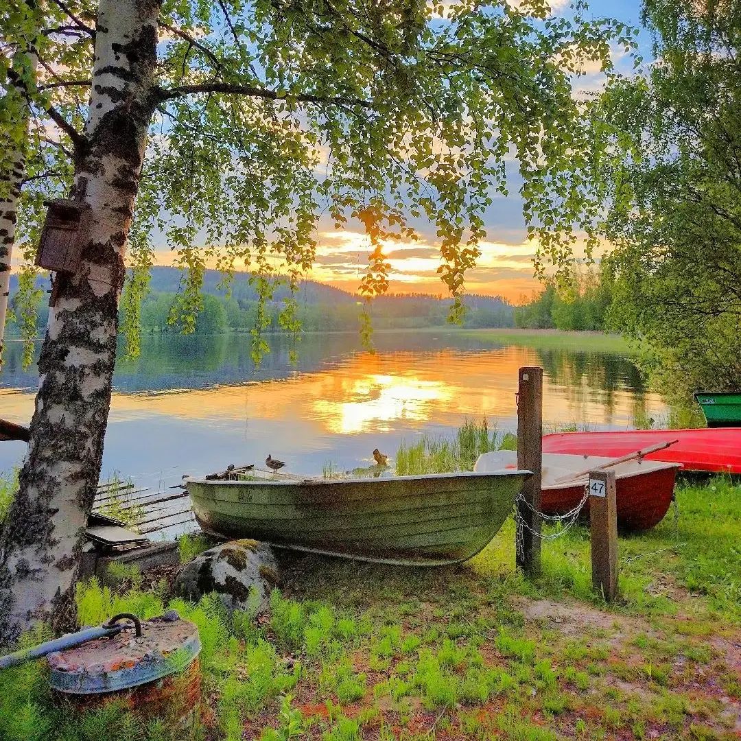 Days of wandering, wandering and free