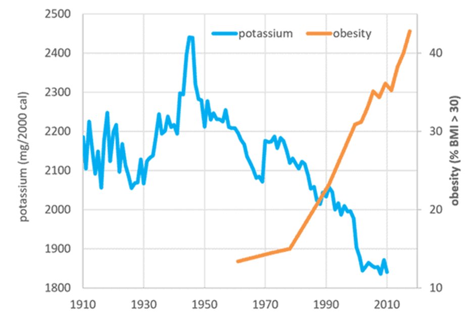 martykendall2's tweet photo. Did you know?  Due to modern farming, the levels of minerals like potassium and calcium in our food have declined.  We now need to eat a lot more to meet our needs.  #PotassiumPower #FoodFact https://t.co/CIHcW0vP1G