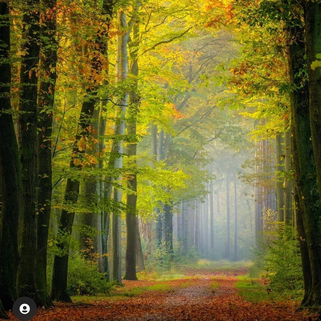 Traveling around the world is just to find a way back to your heart.