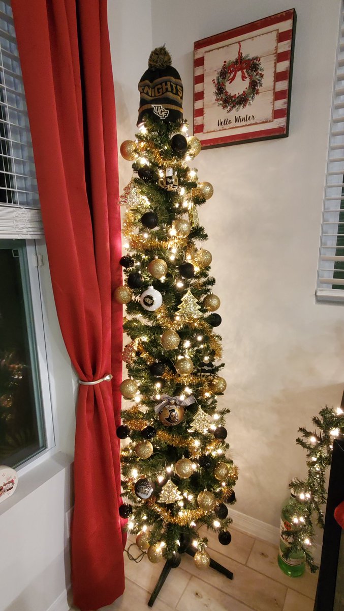 EmyDelgado15's tweet photo. Love my #UCF tree! ๐๐ค
#UCFknights #TagUCF #builtbyUCF https://t.co/3L4jiM7EkC