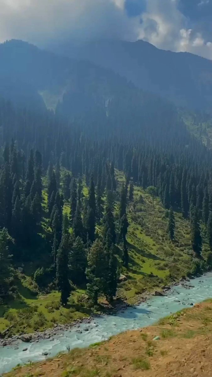 Leave your eyes to the scenery and your weight to the delicious food.