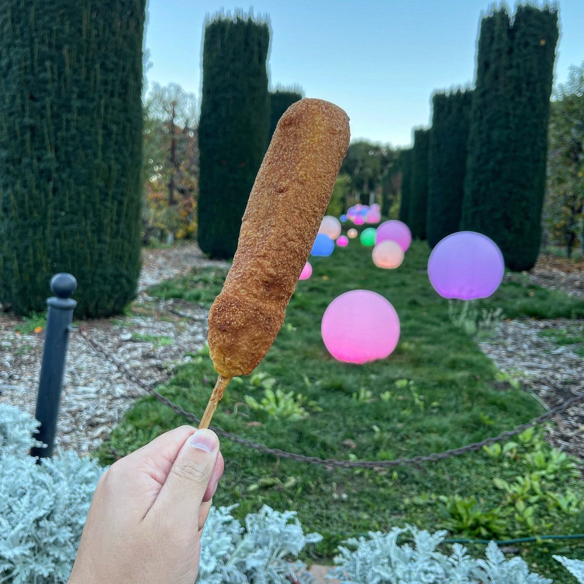 batterupsf's tweet photo. Batter Up Truck is at Filoli today for dinner. Come on by and enjoy the holidays with us!
.
.
.
.
.
#batterupsf #batteruptruck #corndog #gardens #filoli #weekendwarrior #holidays https://t.co/UQ4lPh3Ncm