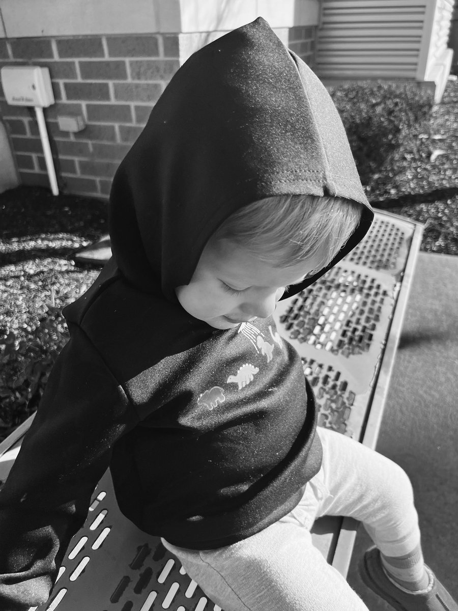 Madisyn Maxwell tweet media