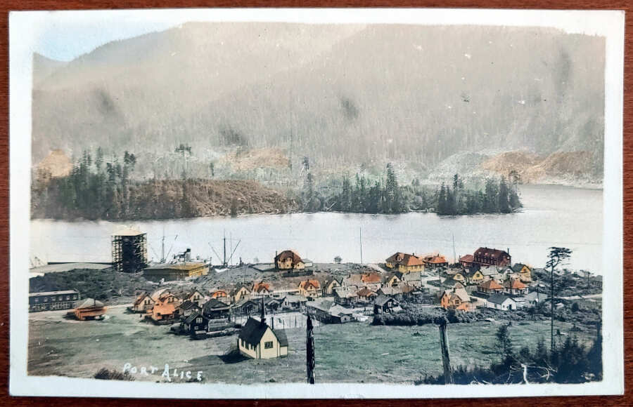 AllNations1949's tweet photo. Realized $77 in our auction today Lot 124 Port Alice, B.C. Unu handcoloured Postcard #BCPostcards #PortAlicePostcards #PostcardAuction
https://t.co/FHhOM1yzET https://t.co/lZkbXEjLlK