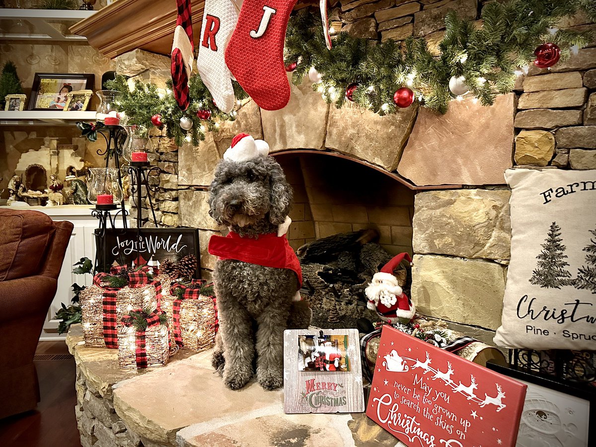 AutosandMore's tweet photo. @wbir Annie, our 5 yr old GoldenDoodle is ready to greet Santa Claus in Kodak.  
@JillAnnAllen @10weather @JoOsborne1 https://t.co/K5TPTn5ZDt