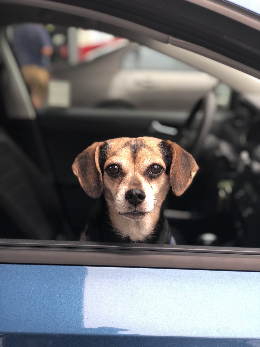 BaronVonHustle 🍌 tweet media