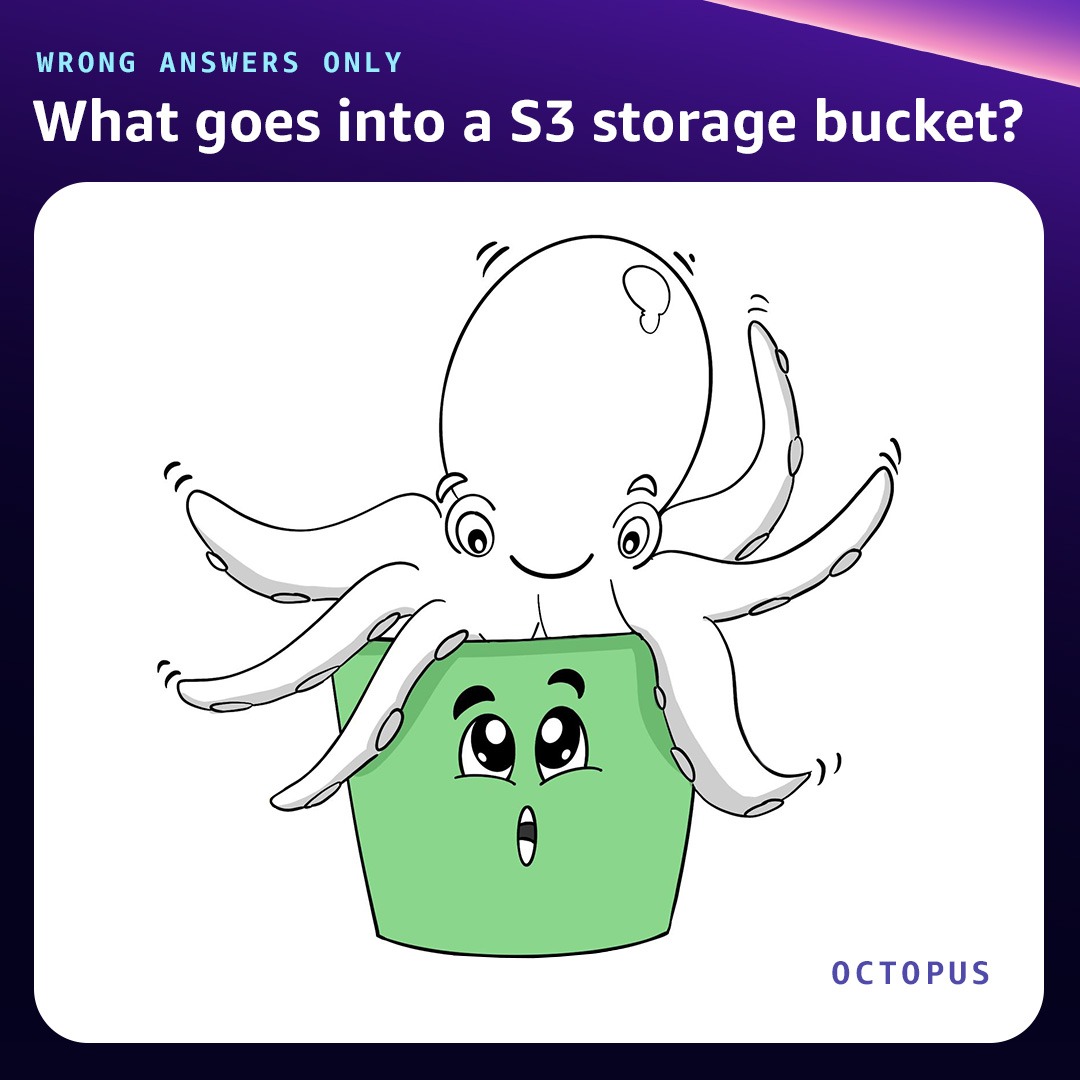 awscloud's tweet photo. What goes inside a S3 storage bucket? ☁️ 🐙 😀 

Share your wrong answers in the comments below using the hashtag #AWSreInvent &amp; we’ll illustrate the funniest ones. We'll go first. 
#AWSWrongAnswersOnly https://t.co/HmyerR0HfZ