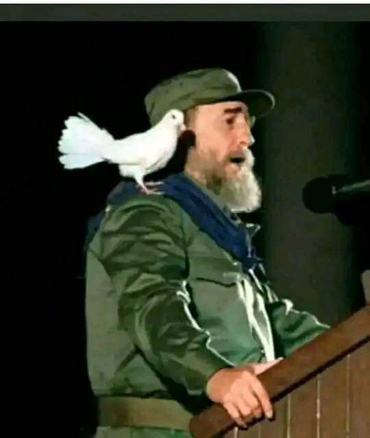 Fidel inició un nuevo tránsito hacia la infinitud del amor, de la solidaridad, de la paz” #FidelPorSiempre #CubaPorLaVida <a href="/cubacooperaven/">Brigada Médica Cubana en Venezuela</a> <a href="/MINSAPCuba/">Ministerio de Salud Pública de Cuba</a> <a href="/japortalmiranda/">José Angel Portal Miranda</a> <a href="/CdiLimon/">CDI el Limon</a> <a href="/DcMedica/">Misión Médica Cubana en el Distrito Capital</a>