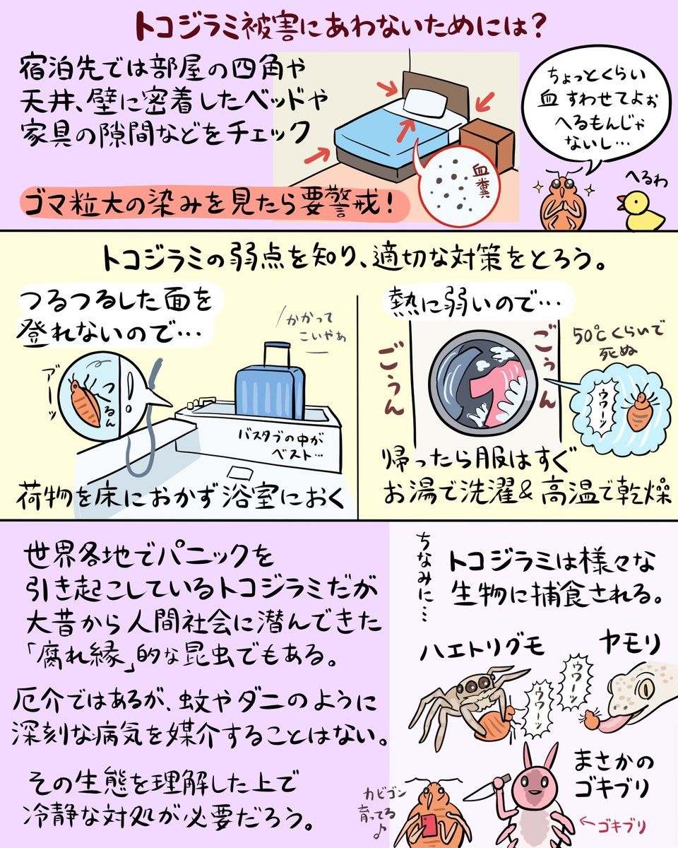 国際的パニックを巻き起こし中な昆虫「トコジラミ」を図解してみました。大まかな生態や、対策に役立ちそうな弱点など紹介。どんな虫なのかざっくり知りたいけどググるのはちょっと…という人もお役立てください。