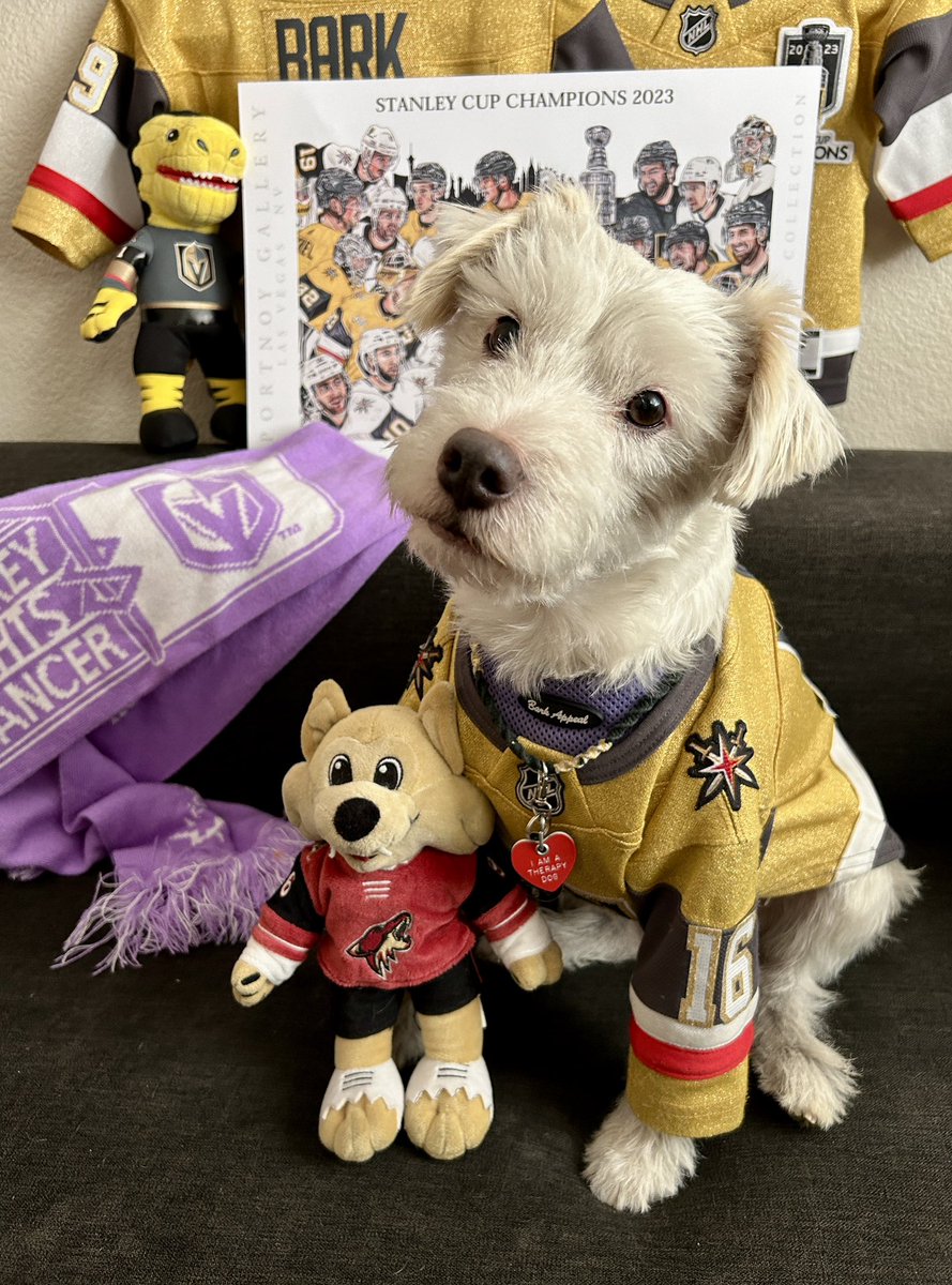 I’m ready for the hockey!
~ Deke🐾
#GoKnightsGo
#VegasBorn              
#ARIvsVGK              
#LetsDoThatHockey
#HockeyFightsCancer 
#GameFace