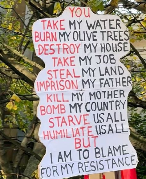 Explaining the Palestinian's struggle..