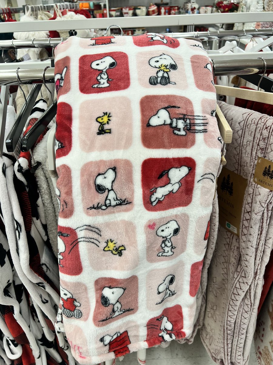 gir1genius's tweet photo. MY NEW SNOOPY BLANKET :) https://t.co/rEnvSM9dKH