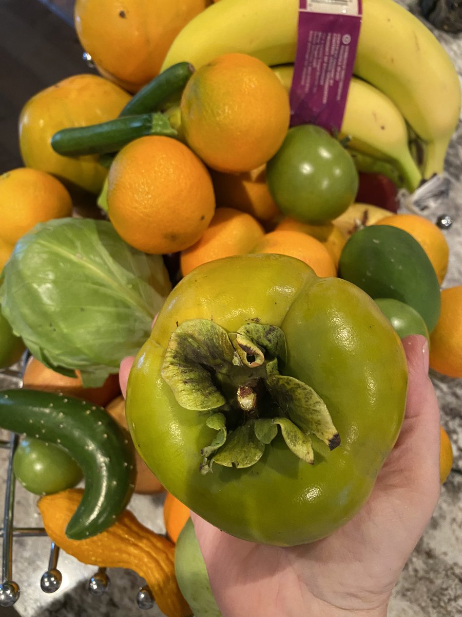 Dr. Alicia Castillo Holley tweet media