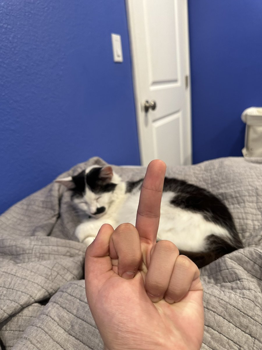 Sleepless tweet media