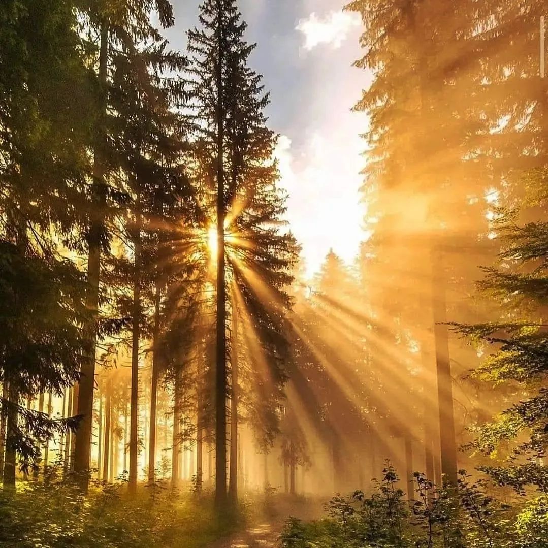 Use your footsteps to measure the world and your eyes to record the scenery.