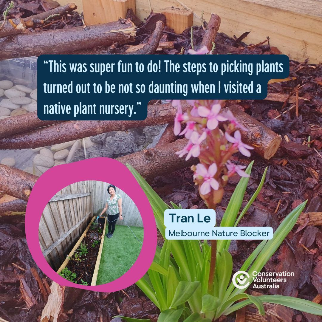 When Tran Le started creating her #NatureBlock, she didn't realise it would be so easy to find the native plants she needed! Join Tran and a growing collective doing their bit to boost Australian biodiversity from their own backyards! buff.ly/3OvJWpg #Biodiversity <a href="/Bupa/">Bupa</a>