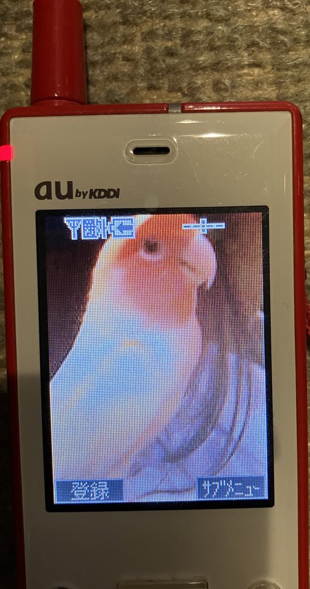 2才の時の若かりしピーちゃん🐤