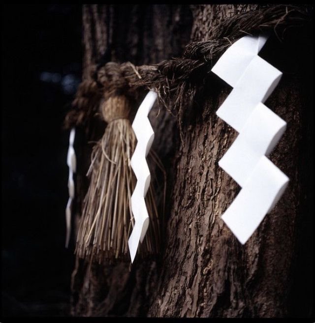 viridianizanagi's tweet image. ★彡
                OH, SWEET FOREST MAIDEN
                    HEAR MY PLEAS

                   —————————————
             ⠀ #PKMNRP  ┆      #ptrp ┆ #pkmnrp ┆ #pokemonrp ┆ #mvrp ┆ #POKEMONRP
⠀⠀  ⠀ ⠀⠀⠀  ﹑ trainer oc; viridian.
⠀ ⠀ ⠀  ⠀ ⠀