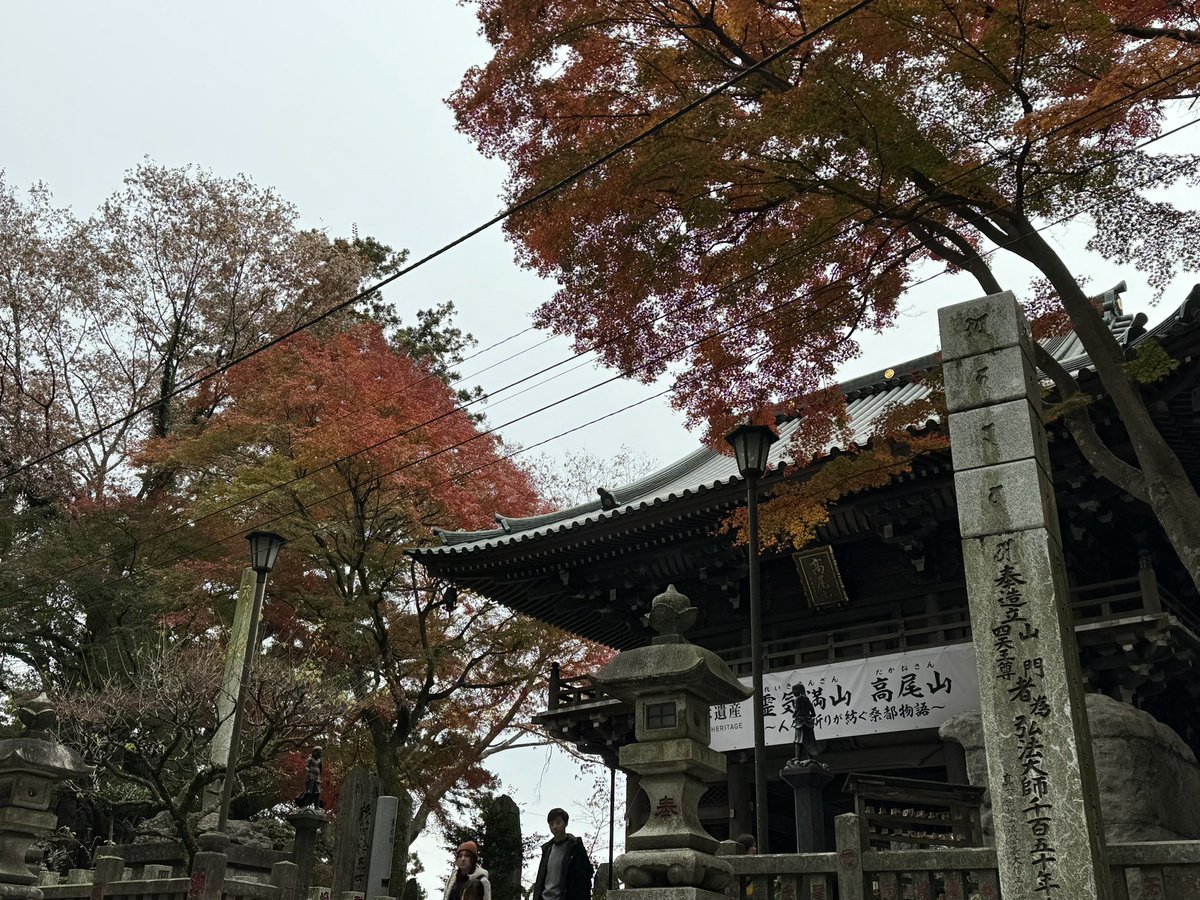 1hibiki's tweet photo. https://t.co/0pNKrCo4W1