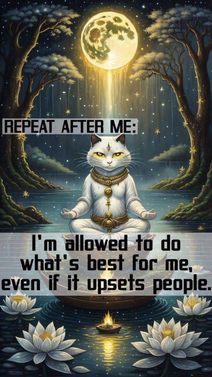 Elgatoquetuitea's tweet photo. #wisecat https://t.co/Loj1w9xvVT