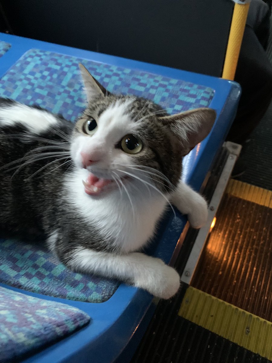 Superlexx™ 💟 ♠♦♣ (@vvvuuvvv) on Twitter photo 