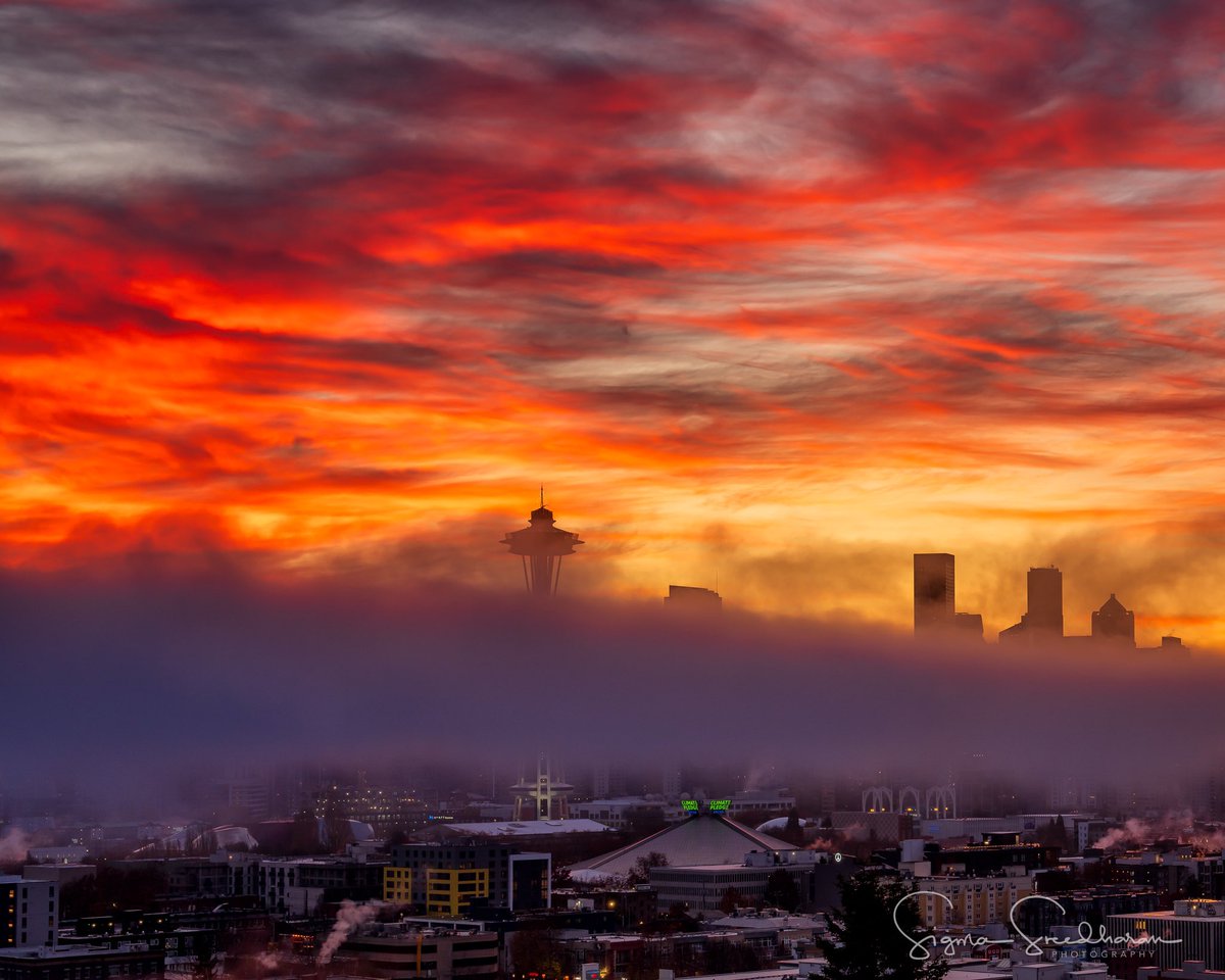 A few more from this morning’s gorgeous foggy #sunrise in #Seattle.