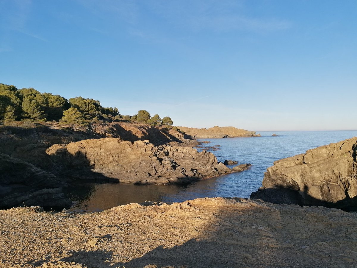 escolta_el_cos's tweet photo. Com el mar, saber trobar la calma.
Ahir corrent per #gavarres amb bona companyia, avui ve de gust contemplar, badar... https://t.co/WqZJ0Jf4yw